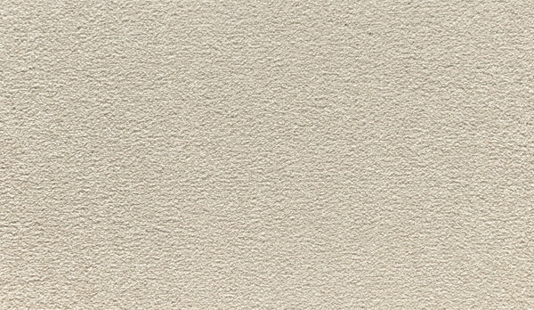 Close-up of Radiant Surface Pet Friendly Carpet in Shorescape color, showcasing a textured, light beige surface with a grainy look reminiscent of sandpaper or stucco.