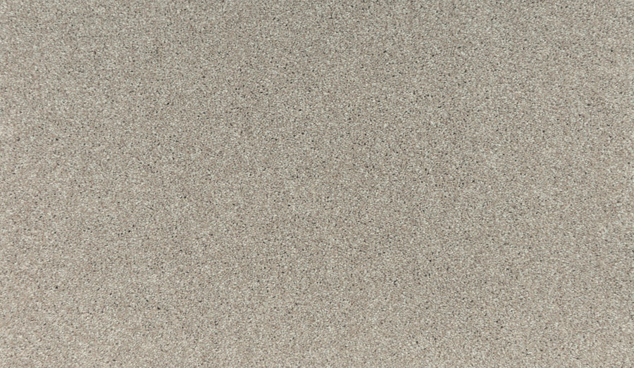 Close-up of Radiant Surface Pet Friendly Carpet in Outer Banks—a flat, plush light beige surface with scattered dark specks. Stylish, stain-resistant, and perfect for homes with pets.