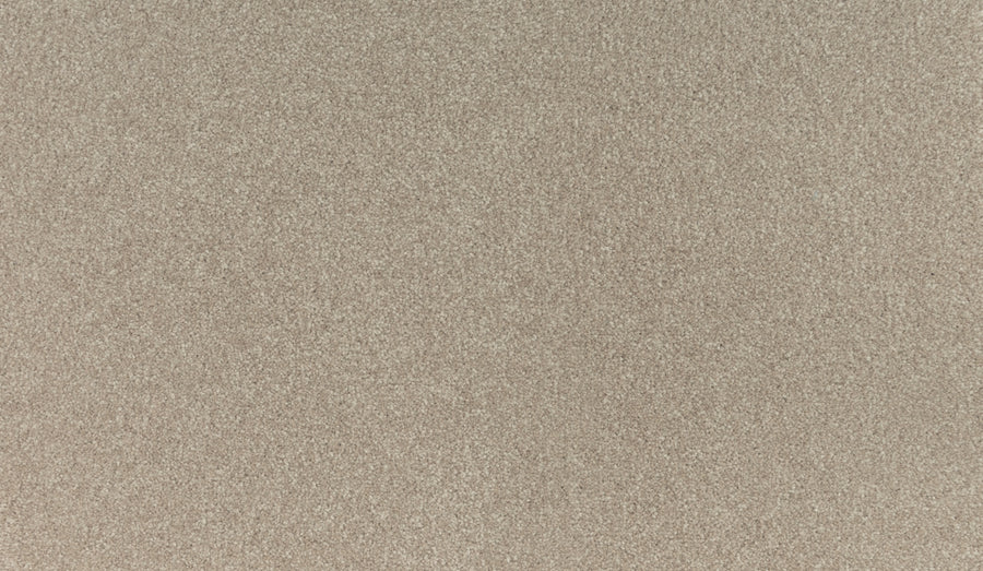 Close-up of Radiant Surface Pet Friendly Carpet in Haven color, showcasing a soft, sandy texture with a uniform, plush pattern—perfect for those desiring stain-resistant carpet with no distinct features.