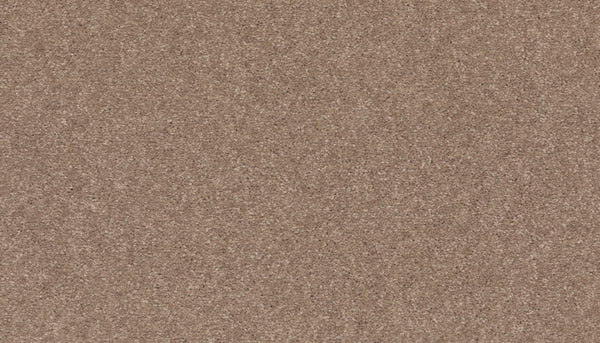 Close-up of the Radiant Surface Pet Friendly Carpet in Timeless, featuring a textured pattern with small, tightly packed brown and tan tones—evoking the natural look similar to a corkboard surface.