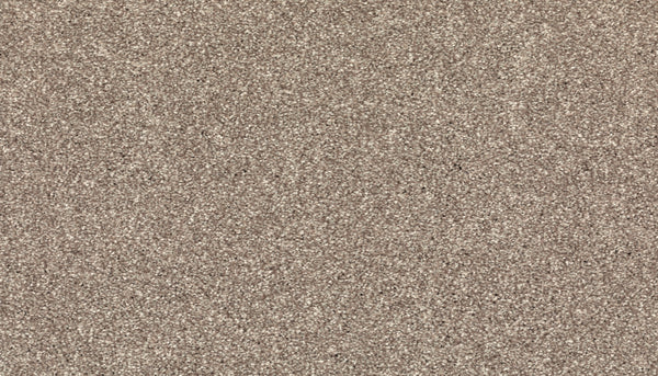 A close-up of Radiant Surface Pet Friendly Carpet in Dock color highlights its fine, grainy texture and even distribution—offering a refined look and soft feel similar to luxury sand.