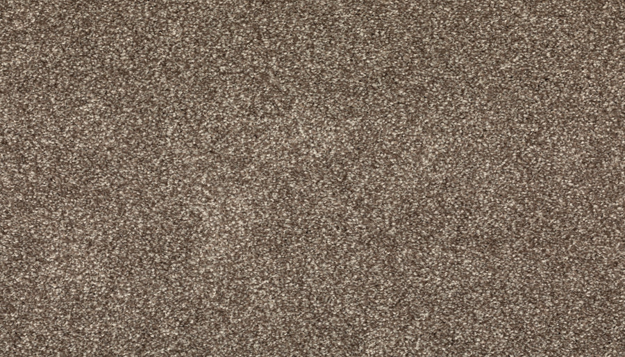 Close-up view of Radiant Surface Pet Friendly Carpet in Cascade, featuring plush, textured brown fibers with light and dark tones for a soft, speckled look—ideal for homes with pets.