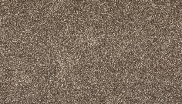 Close-up view of Radiant Surface Pet Friendly Carpet in Cascade, featuring plush, textured brown fibers with light and dark tones for a soft, speckled look—ideal for homes with pets.