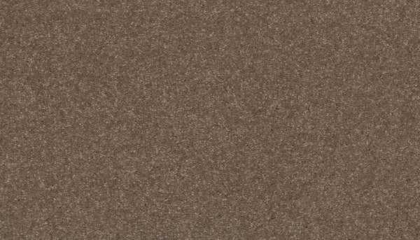 Close-up of Radiant Surface Pet Friendly Carpet in Firewood color, showcasing fine brown fibers and a consistent, textured pattern throughout.