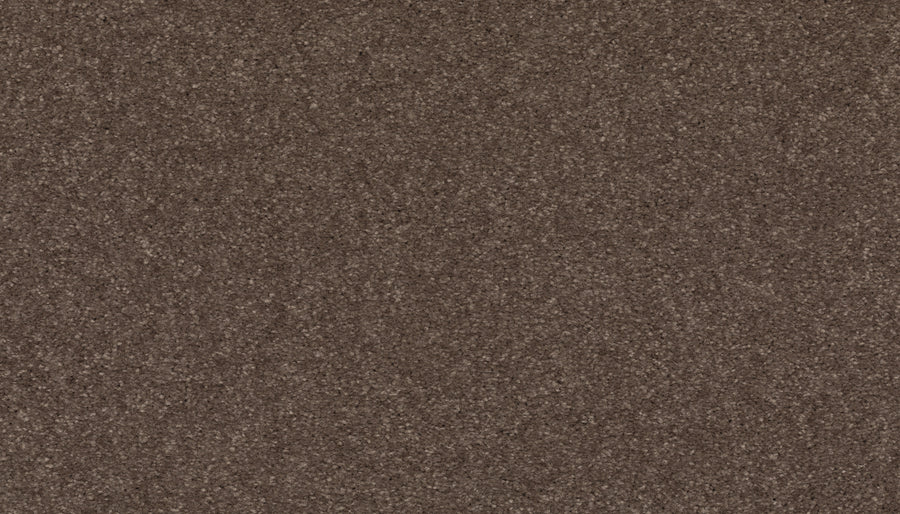 Close-up of Radiant Surface Pet Friendly Carpet in Fortress color, showing a coarse yet uniform texture with fine, dark brown granules resembling stain-resistant fibers throughout the surface.