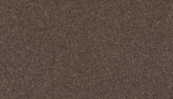 Close-up of Radiant Surface Pet Friendly Carpet in Fortress color, showing a coarse yet uniform texture with fine, dark brown granules resembling stain-resistant fibers throughout the surface.