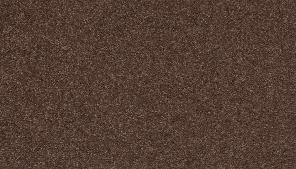 Close-up of Radiant Surface Pet Friendly Carpet in Chocolate Chip—its textured, speckled brown surface offers a durable look, ideal for those seeking a carpet suitable for pets.