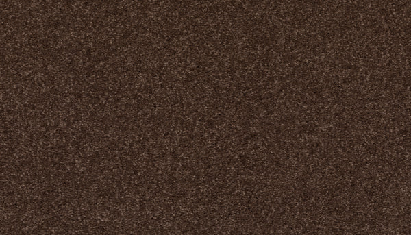 Close-up of Radiant Surface Pet Friendly Carpet in Dark Fudge, showcasing its dense, plush fibers. The soft, uniform texture provides a cozy and smooth surface, perfect for any pet-friendly home.