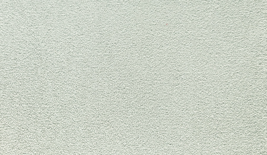 Radiant Surface Pet Friendly Carpet in Urban features a light gray, textured, stucco-like finish. Its stain-resistant surface is perfect for any pet-friendly home, combining elegance and practicality throughout the space.