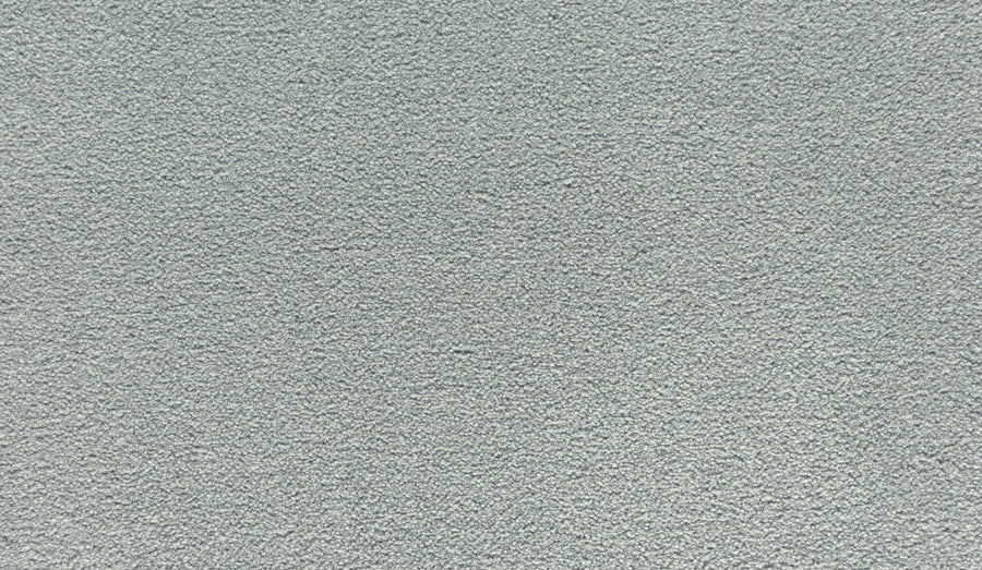 Close-up of Radiant Surface Pet Friendly Carpet in Highgate, highlighting its soft, textured surface and dense, even fibers throughout.