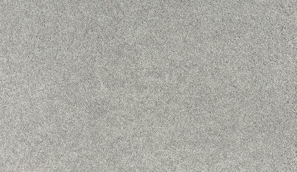 Close-up view of the Radiant Surface Pet Friendly Carpet in Oyster, featuring a flat, textured surface with a consistent, grainy appearance reminiscent of plush carpet.