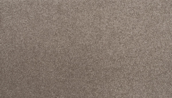 Close-up of Radiant Surface Pet Friendly Carpet in Moonrock, showing its soft, textured fibers and subtle mottled look—an easy-care, cozy choice ideal for homes with pets.