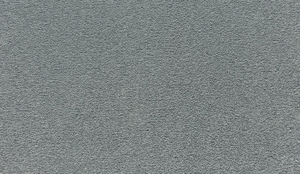 Close-up of the Radiant Surface Pet Friendly Carpet in Morning Dew, showcasing its plush, soft texture and subtle color variations—perfect for those seeking a stylish, pet-friendly flooring option.