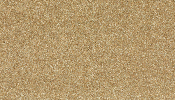 A close-up of the Radiant Tone Pet Friendly Carpet in Honey Cream shows its flat, even surface and fine, golden-brown fibers—granular and uniform—bringing a soft, serene touch to any home.