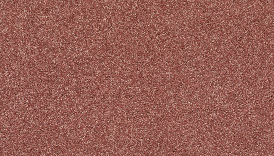 Close-up of the Radiant Tone Pet Friendly Carpet in Cool Blush, showing its evenly textured, grainy surface that adds a touch of luxury.