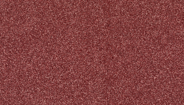 Close-up view of Radiant Tone Pet Friendly Carpet in Desert Rose, showing a textured red surface with a fine, even pattern—offering stain resistance and durability ideal for pet owners.
