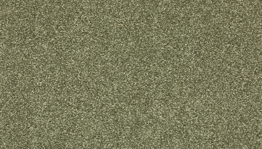 A close-up of Radiant Tone Pet Friendly Carpet in Sage, featuring a textured surface with fine, evenly spread particles that resemble stain-resistant luxury flooring.