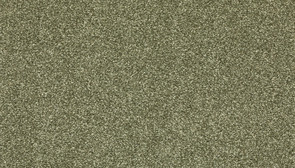 A close-up of Radiant Tone Pet Friendly Carpet in Sage, featuring a textured surface with fine, evenly spread particles that resemble stain-resistant luxury flooring.