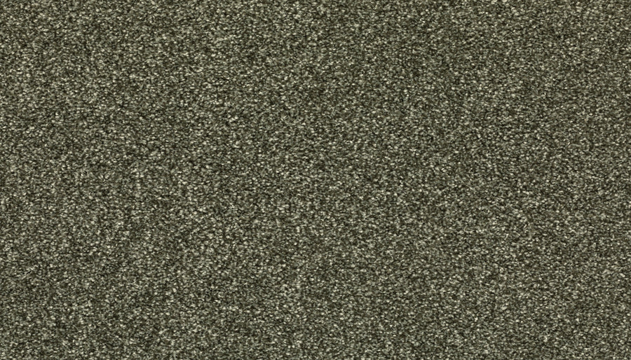 Close-up of Radiant Tone Pet Friendly Carpet in Inverness color, showing a textured surface with fine, grayish-brown grains that create a rough and grainy, stain-resistant appearance.