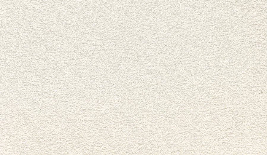 Radiant Tone Pet Friendly Carpet in White Linen features a textured, off-white finish with subtle color variation—perfect for pairing with luxury flooring to achieve an elegant, sophisticated look.