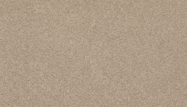 A close-up of Radiant Tone Pet Friendly Carpet in Twine showcases its smooth, luxury surface with a fine, light brown hue and uniform texture throughout the image.