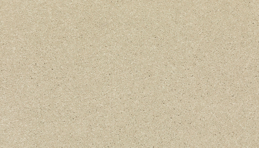 Close-up of Radiant Tone Pet Friendly Carpet in Cimarron, featuring fine light beige fibers with a smooth texture and subtle dark flecks—luxurious, pet friendly, and stain resistant.