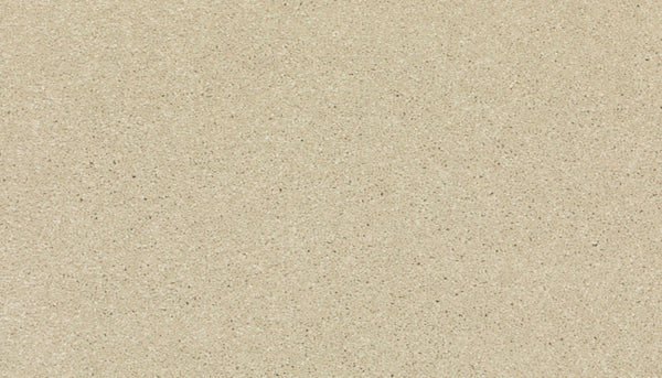 Close-up of Radiant Tone Pet Friendly Carpet in Cimarron, featuring fine light beige fibers with a smooth texture and subtle dark flecks—luxurious, pet friendly, and stain resistant.