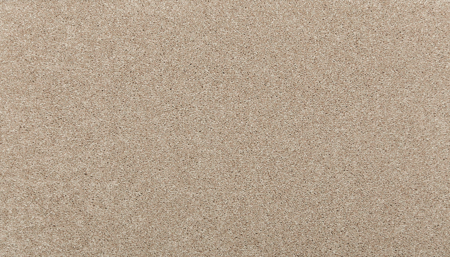 Close-up of Radiant Tone Pet Friendly Carpet in Outer Banks color, showcasing its uniform, light brown texture that creates a luxurious, seamless look in any space.