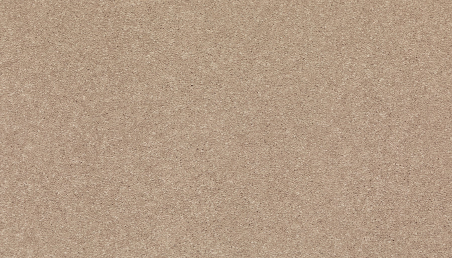 A close-up of Radiant Tone Pet Friendly Carpet in Nomad, featuring a smooth, light brown surface with fine, evenly distributed grains, offering the look and feel of luxury while being pet friendly and stain resistant.