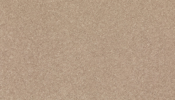 A close-up of Radiant Tone Pet Friendly Carpet in Nomad, featuring a smooth, light brown surface with fine, evenly distributed grains, offering the look and feel of luxury while being pet friendly and stain resistant.