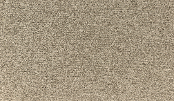 Close-up of Radiant Tone Pet Friendly Carpet in Halo—a beige, soft, slightly textured surface with uniform color and stain resistance for lasting elegance.
