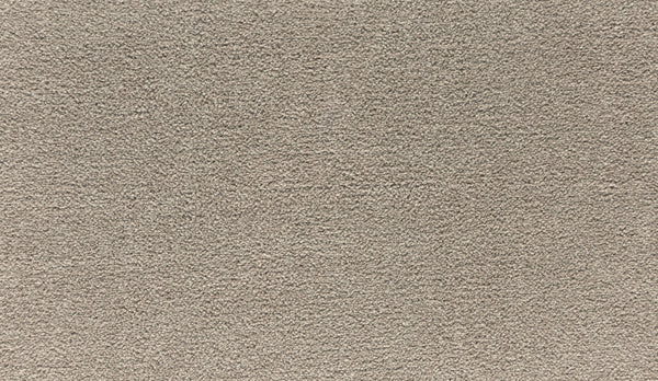 Close-up of Radiant Tone Pet Friendly Carpet in Midsummer Light, featuring a soft, textured pile and an even, consistent surface in a neutral beige shade.
