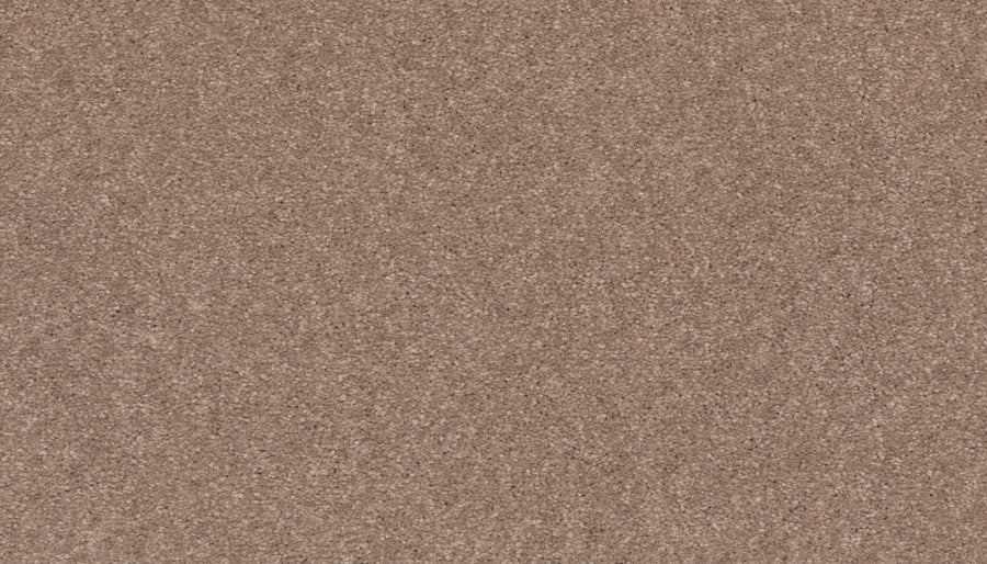 Close-up of Radiant Tone Pet Friendly Carpet in Timeless color, revealing its textured, tightly packed surface. The evenly lit image highlights a luxurious appearance with no visible markings or objects.