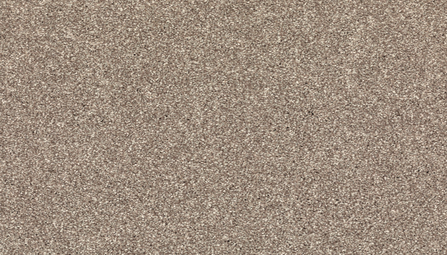 A close-up of the Radiant Tone Pet Friendly Carpet in Dock reveals a uniform, fine texture in light brown hues, resembling elegant luxury flooring and providing a soft, consistent surface ideal for pet-friendly spaces.