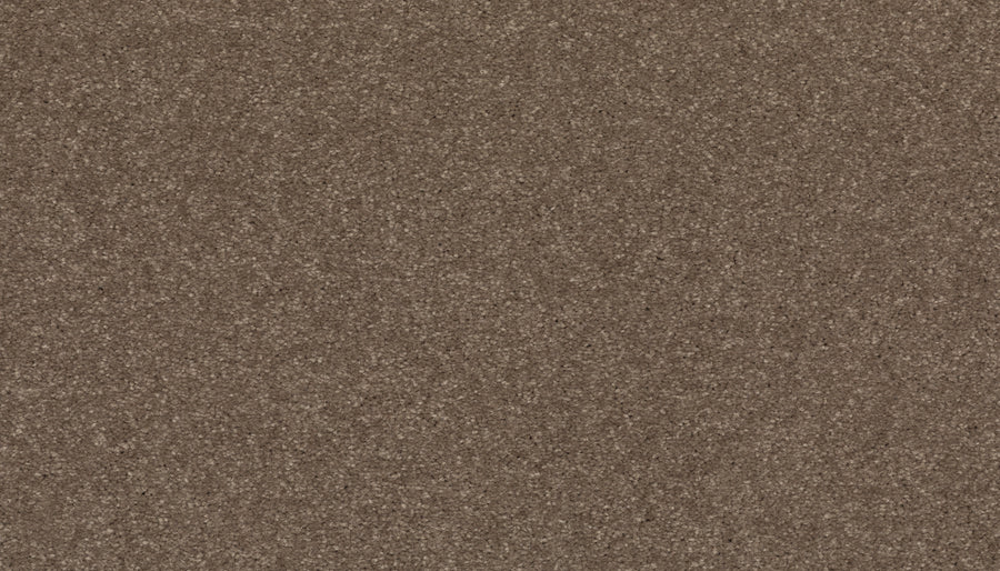 Close-up of Radiant Tone Pet Friendly Carpet in Firewood, showing its fine, even texture and small granules—a luxurious, stain-resistant flooring ideal for homes with pets.