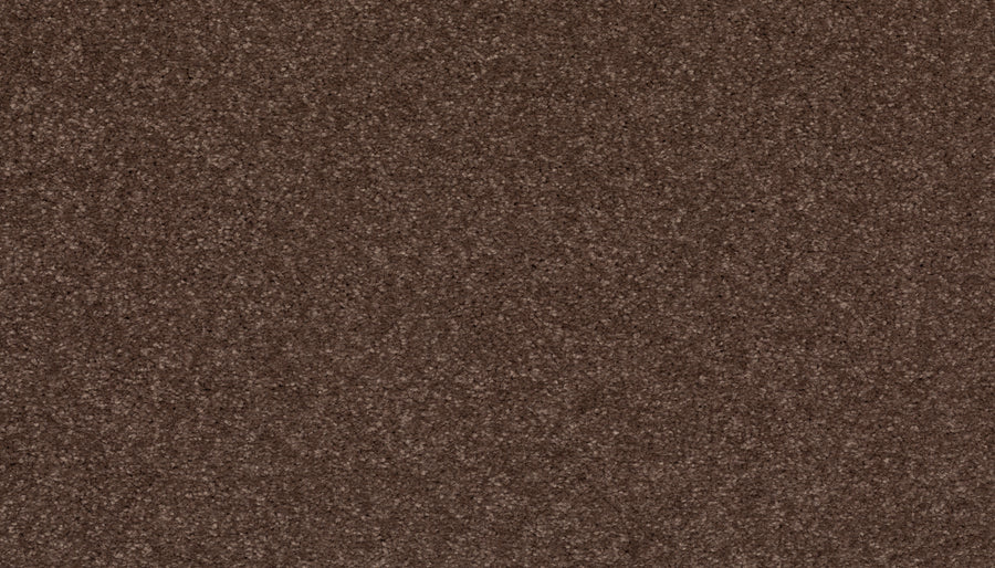 A close-up of the Radiant Tone Pet Friendly Carpet in Chocolate Chip shows its even, textured brown surface—resembling fine sandpaper or granular fabric—highlighting its stain-resistant, pet-friendly qualities.