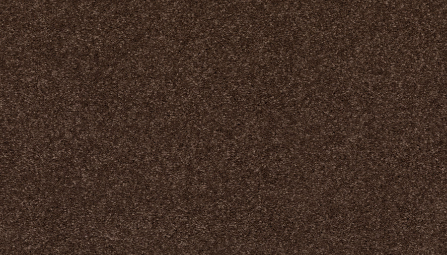 Close-up of the Radiant Tone Pet Friendly Carpet in Dark Fudge, showcasing a dense, plush texture and soft mottled surface—a stylish, comfortable choice for elegant interiors.