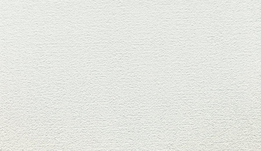 Close-up of Radiant Tone Pet Friendly Carpet in Glacier: a clean, evenly lit white surface with a subtle bumpy and grainy texture, evoking the refined look of luxury carpet.