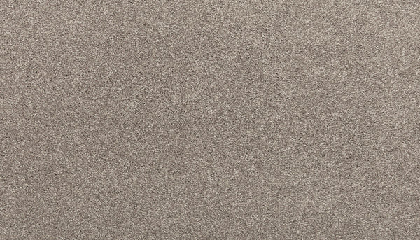 A close-up of Radiant Tone Pet Friendly Carpet in Lincoln shows fine, light brown fibers with a smooth, even texture, filling the frame and resembling luxury carpet.