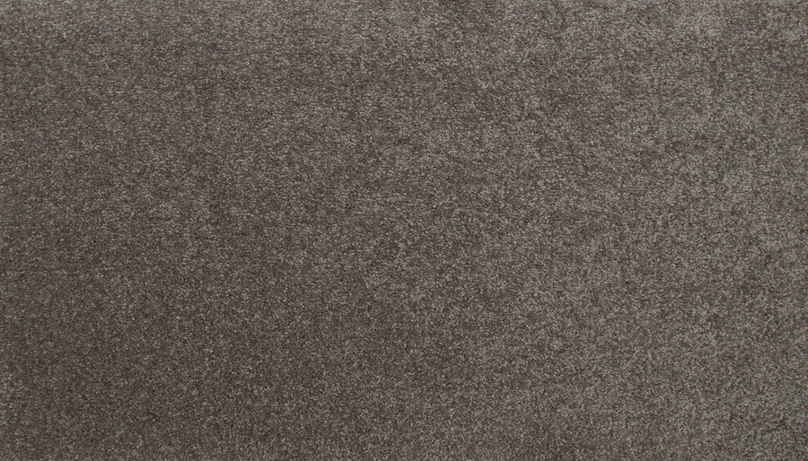 A close-up of the Radiant Tone Pet Friendly Carpet in Harmony color, highlighting its soft fibers and plush, uniform texture for a luxurious look.