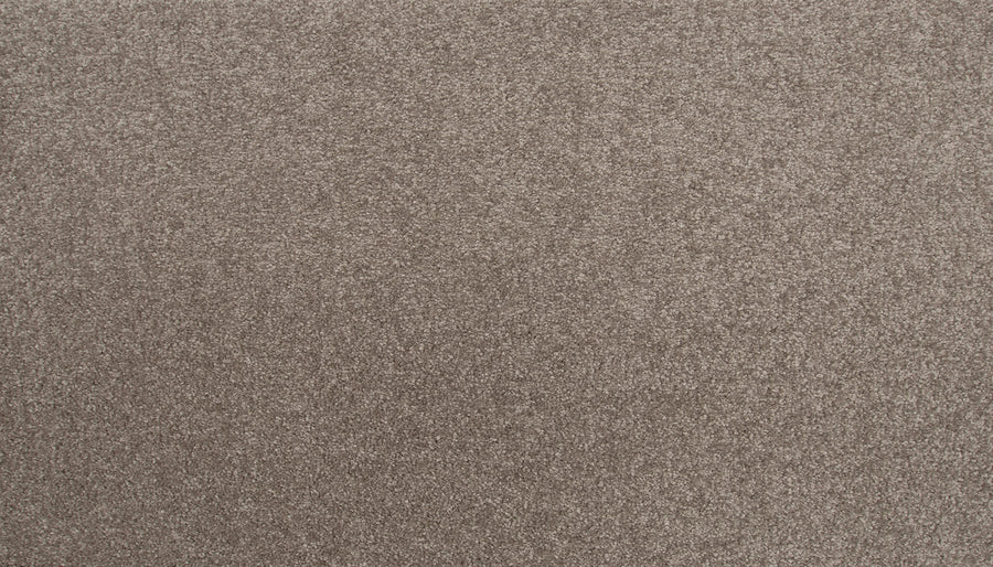 Close-up view of Radiant Tone Pet Friendly Carpet in Moonrock. This soft, beige carpet features short, evenly distributed fibers for a uniform, cozy look—ideal for homes wanting comfort and durability with pet-friendly performance.
