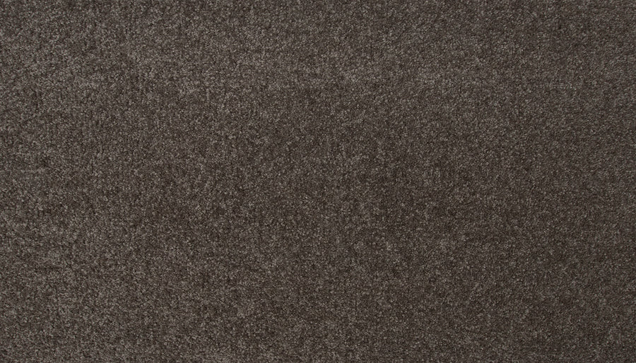Close-up of Radiant Tone Pet Friendly Carpet in Nocturne shows a brown, textured luxury surface. Its soft, plush fibers offer a uniform, slightly mottled look that enhances comfort and style while being perfect for homes with pets.