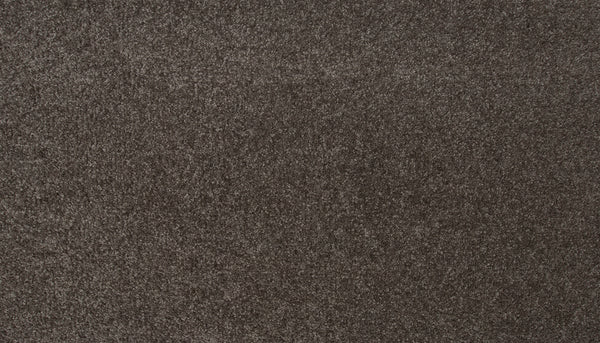 Close-up of Radiant Tone Pet Friendly Carpet in Nocturne shows a brown, textured luxury surface. Its soft, plush fibers offer a uniform, slightly mottled look that enhances comfort and style while being perfect for homes with pets.