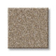 Imaginable I Family Friendly Carpet - Raw Wood