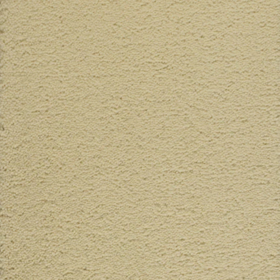 Dolce Family Friendly Carpet in Real Vanilla features a light, neutral shade with subtle variations. Its durable texture creates a versatile backdrop ideal for high-traffic areas, blending practicality with timeless design appeal.