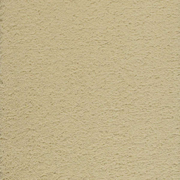 Dolce Family Friendly Carpet in Real Vanilla features a light, neutral shade with subtle variations. Its durable texture creates a versatile backdrop ideal for high-traffic areas, blending practicality with timeless design appeal.