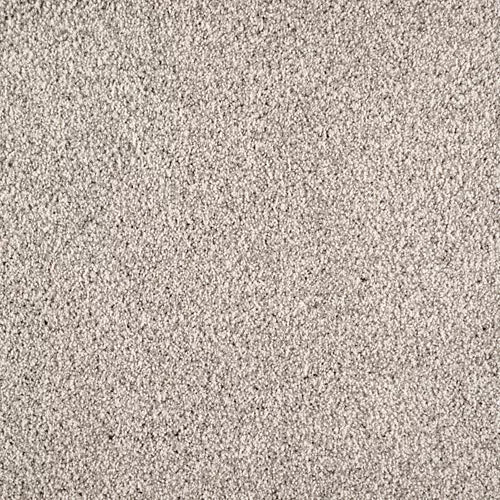 Close-up of Warm Reception Pet Friendly Carpet in light gray. Its short, densely packed fibers create a plush, luxurious feel and an even, soft surface—perfect for comfort and durability in pet-friendly homes.