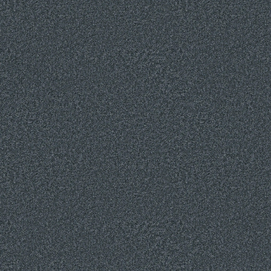 A close-up of the You Got This III Pet Friendly Carpet in Refined—a dark, grainy textured surface with gray and black speckles, ideal for modern spaces needing stylish yet durable flooring.