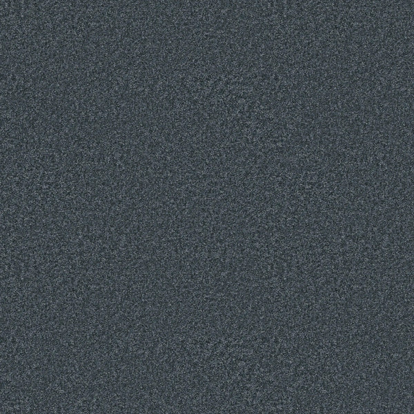 A close-up of the You Got This III Pet Friendly Carpet in Refined—a dark, grainy textured surface with gray and black speckles, ideal for modern spaces needing stylish yet durable flooring.