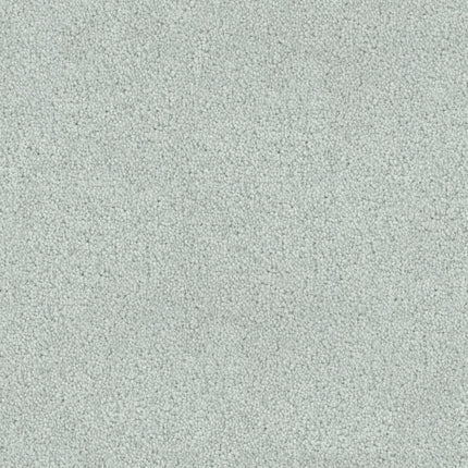 Tribute Family Friendly Carpet in Reflection features a light gray textured surface with a fine, pebbled pattern—offering the stylish, durable look and stain resistance perfect for busy, family-friendly spaces.